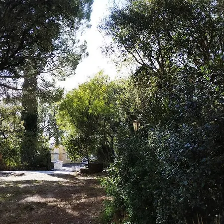 Villa Les Trois Chênes, piscine privée&vue mer Les Issambres Esterno foto