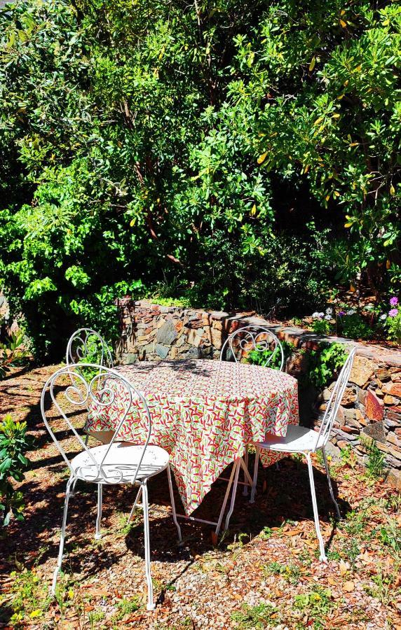 Les Trois Chênes, Piscine Privée&vue * Les Issambres